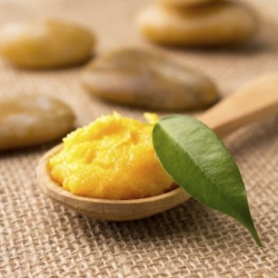 Beneficiile utilizarii untului de mango